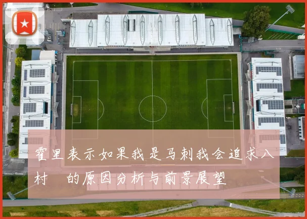 霍里表示如果我是马刺我会追求八村塁的原因分析与前景展望